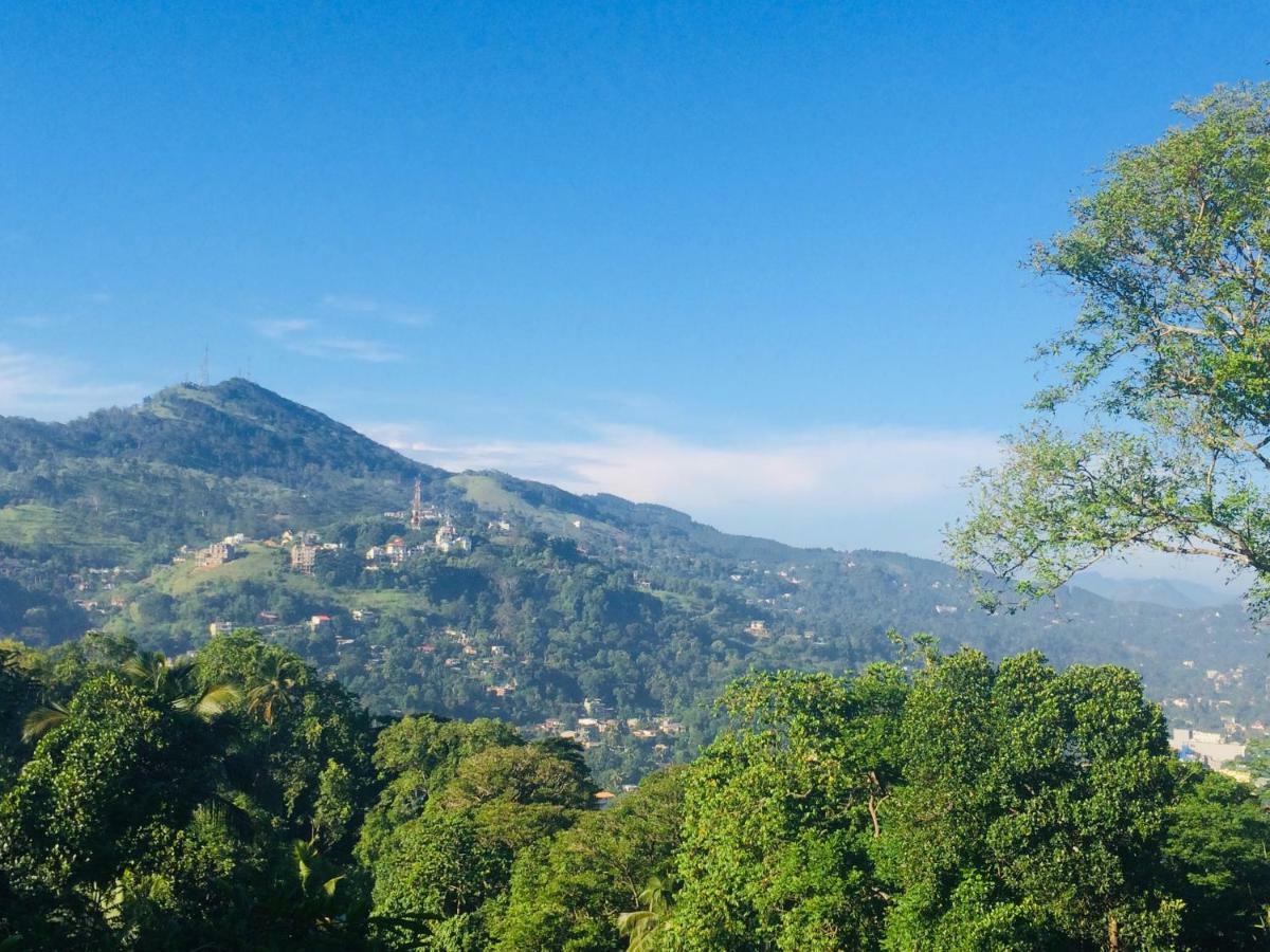 Selyna Sky Terrace Acomodação com café da manhã Kandy Exterior foto