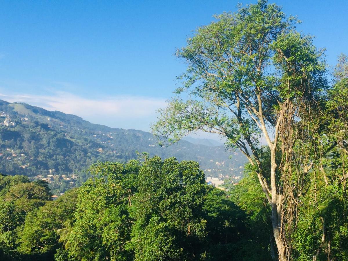 Selyna Sky Terrace Acomodação com café da manhã Kandy Exterior foto