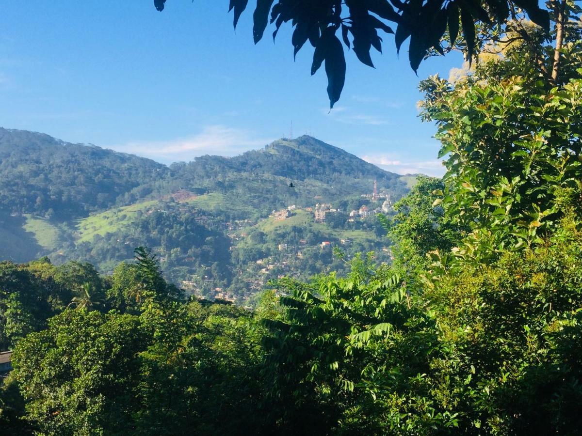 Selyna Sky Terrace Acomodação com café da manhã Kandy Exterior foto
