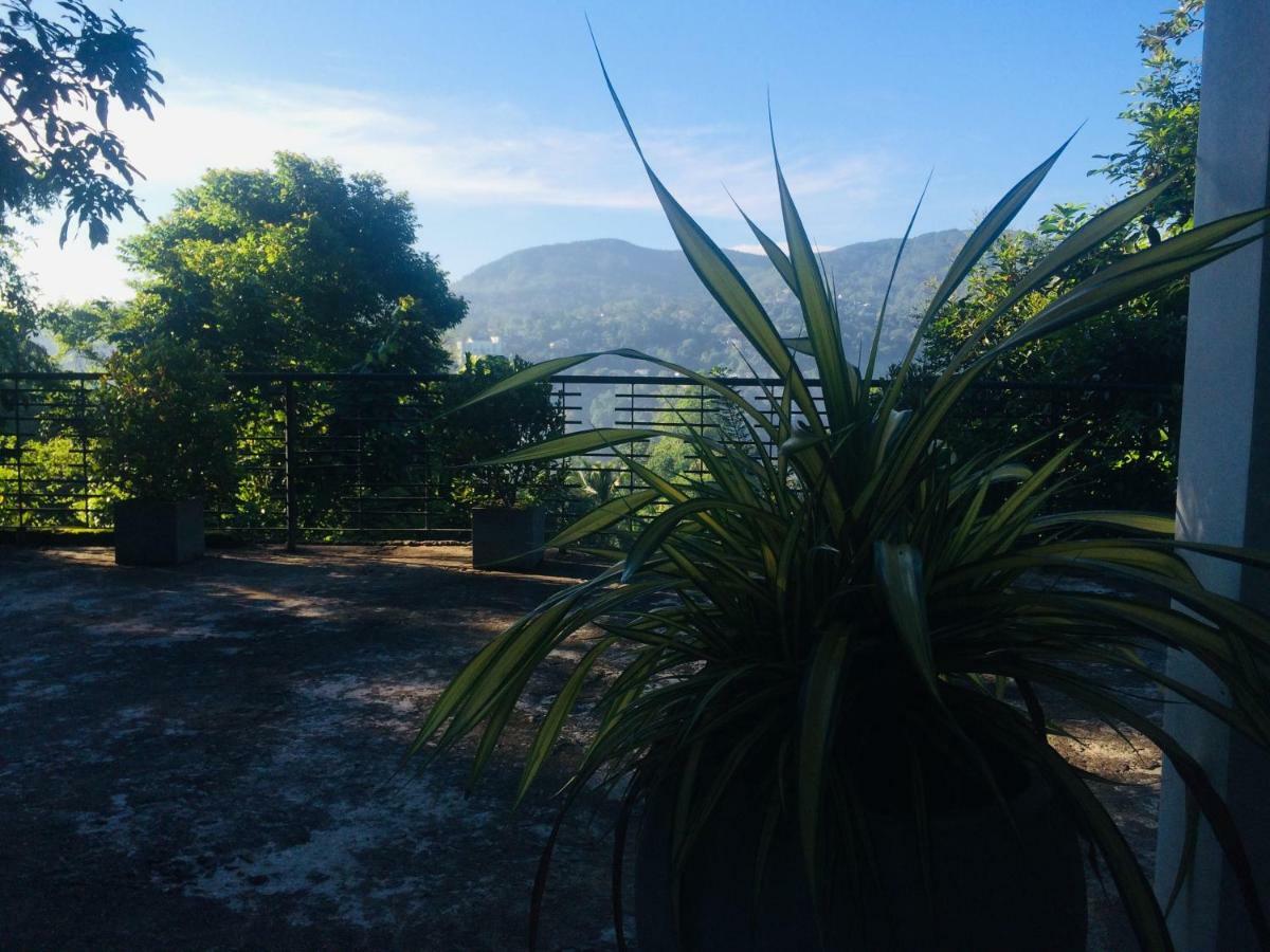 Selyna Sky Terrace Acomodação com café da manhã Kandy Exterior foto